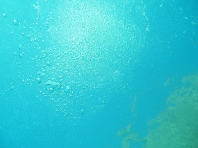 水中の空気の泡
